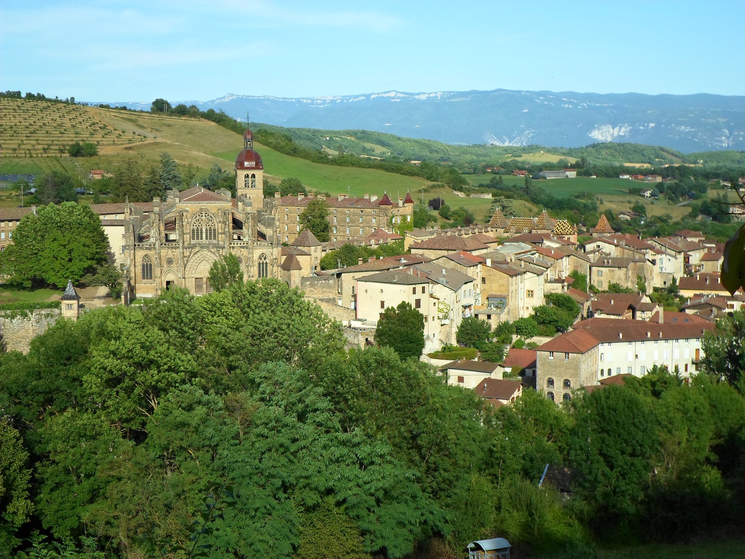 Abbaye médiévale de Saint-Antoine-l'Abbaye, Isère
